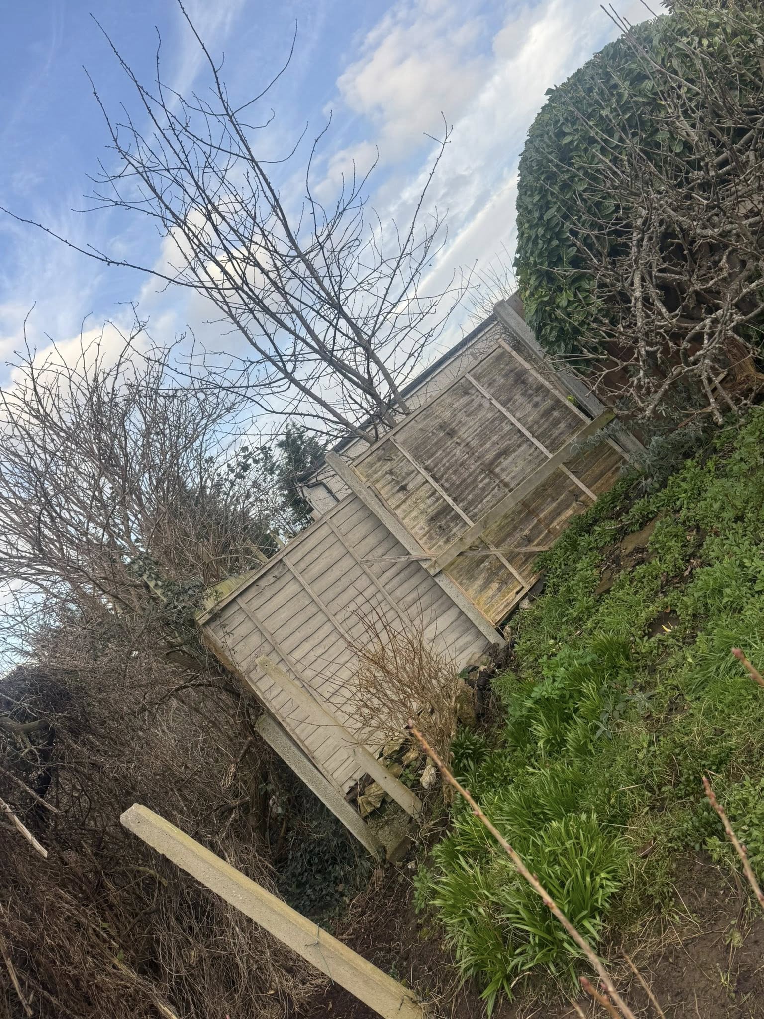 LMC project photo 12