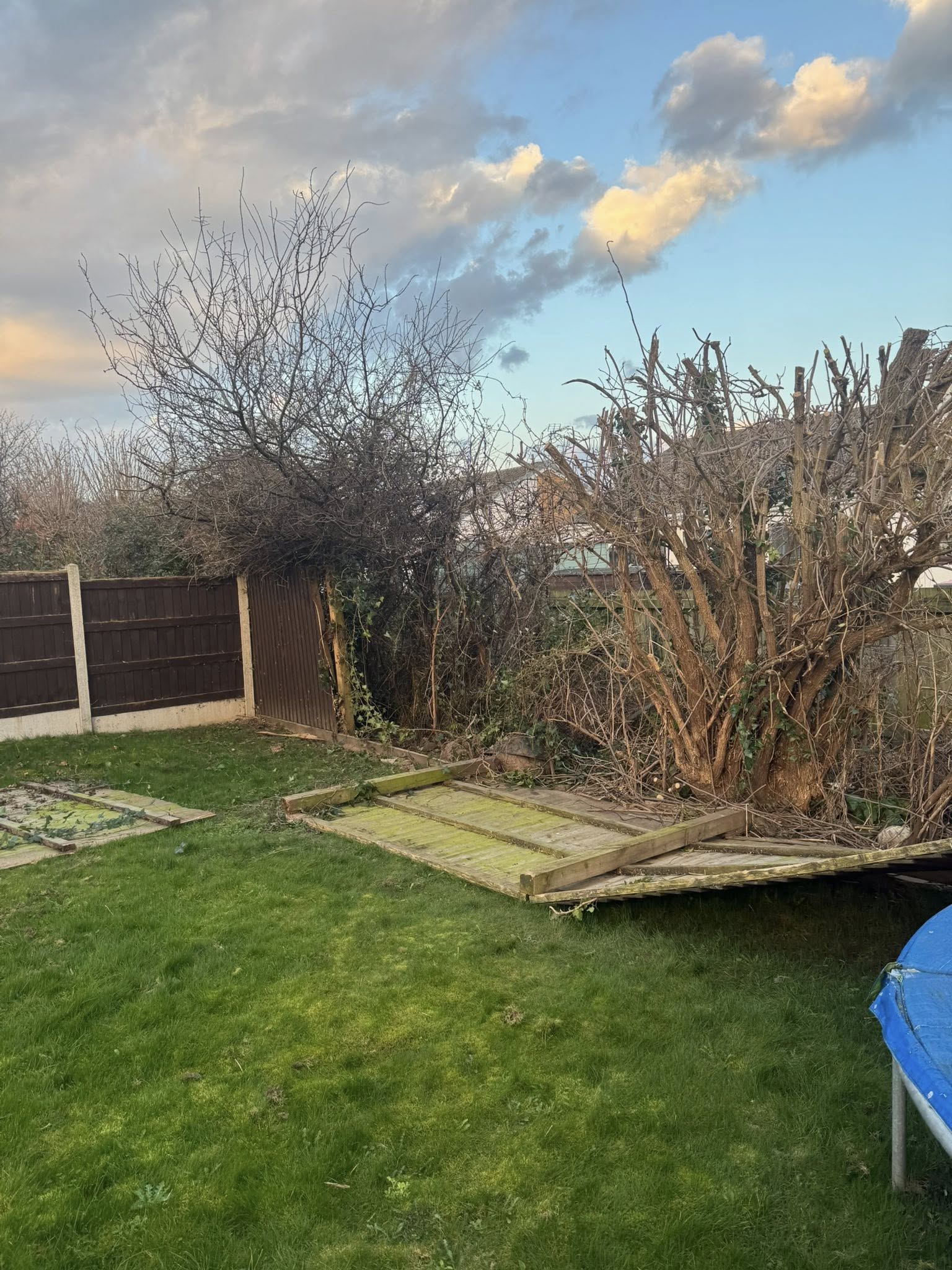 LMC project photo 39