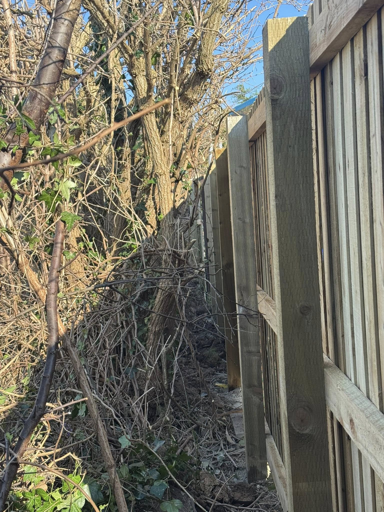 LMC project photo 56