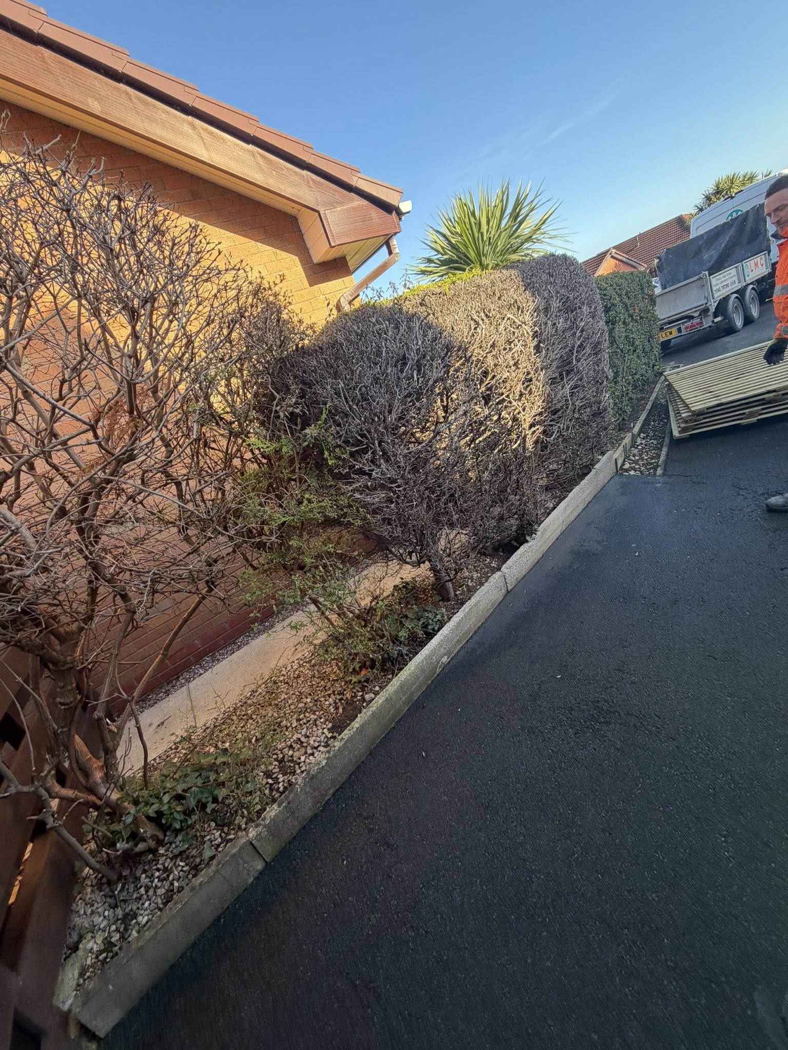 LMC project photo 89