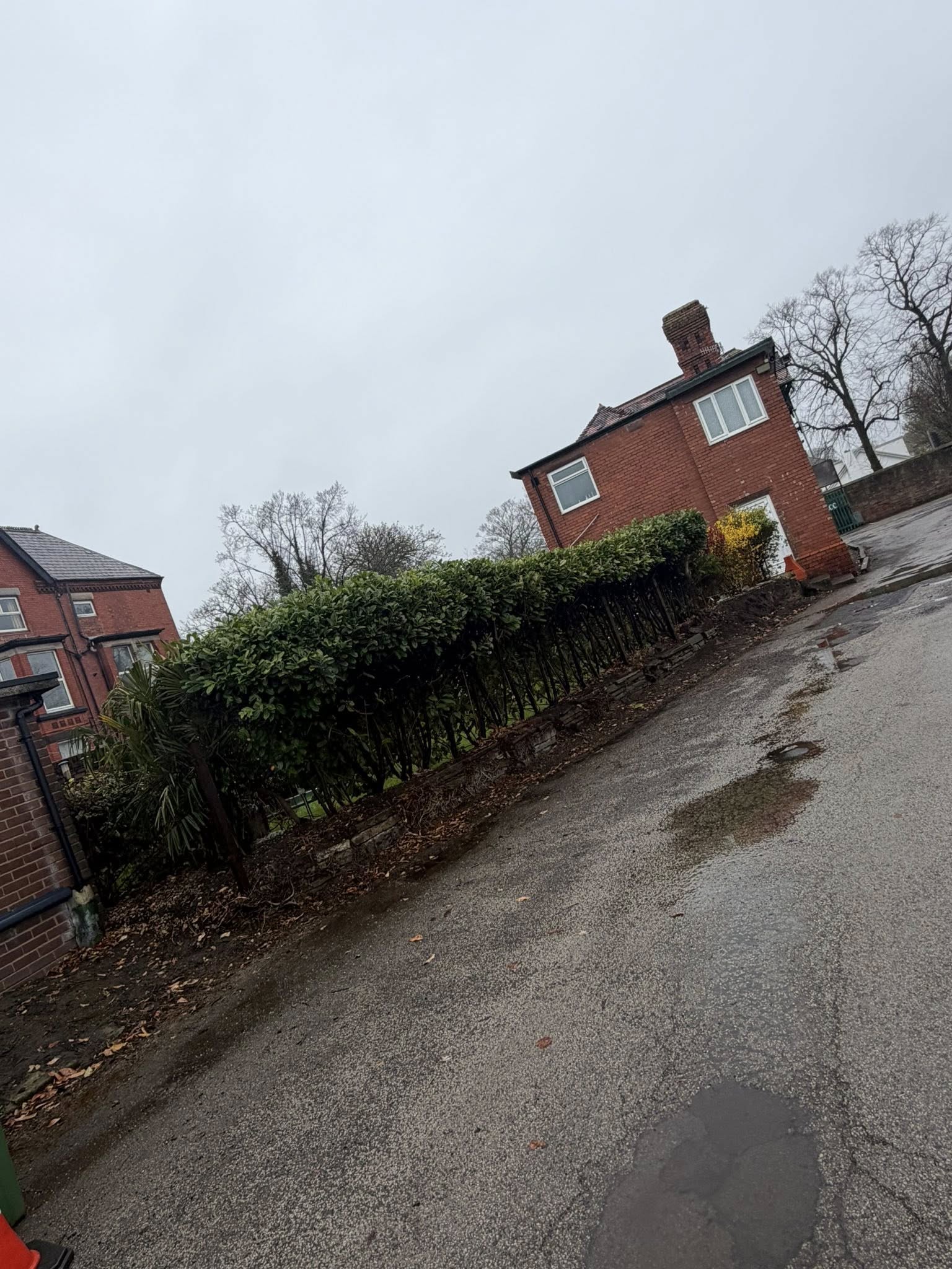 LMC project photo 111